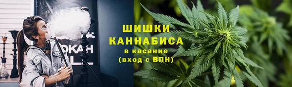 дмт Магас