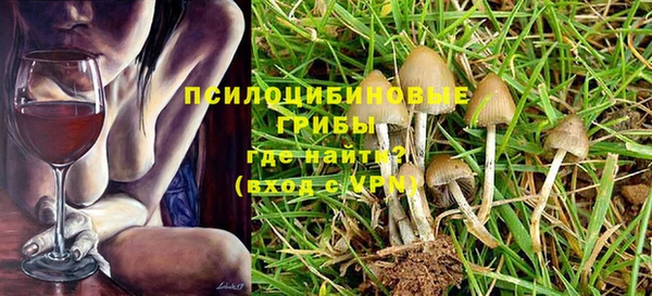 дмт Магас