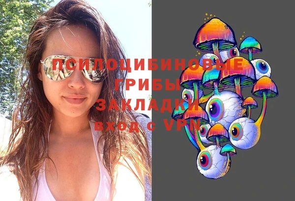 spice Мегион