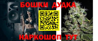 крисы Бийск