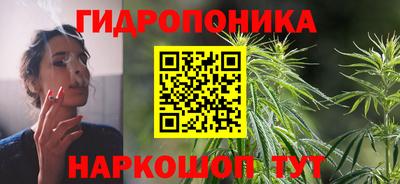индика Гусев