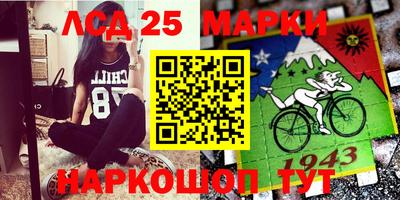 индика Гусев