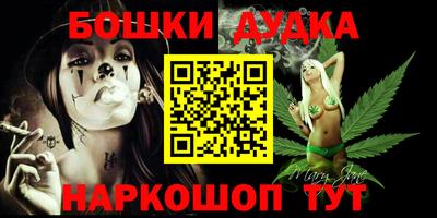 индика Гусев