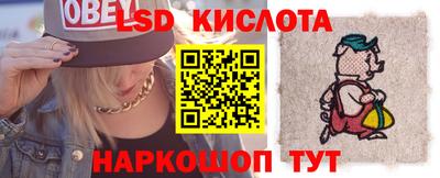 индика Гусев
