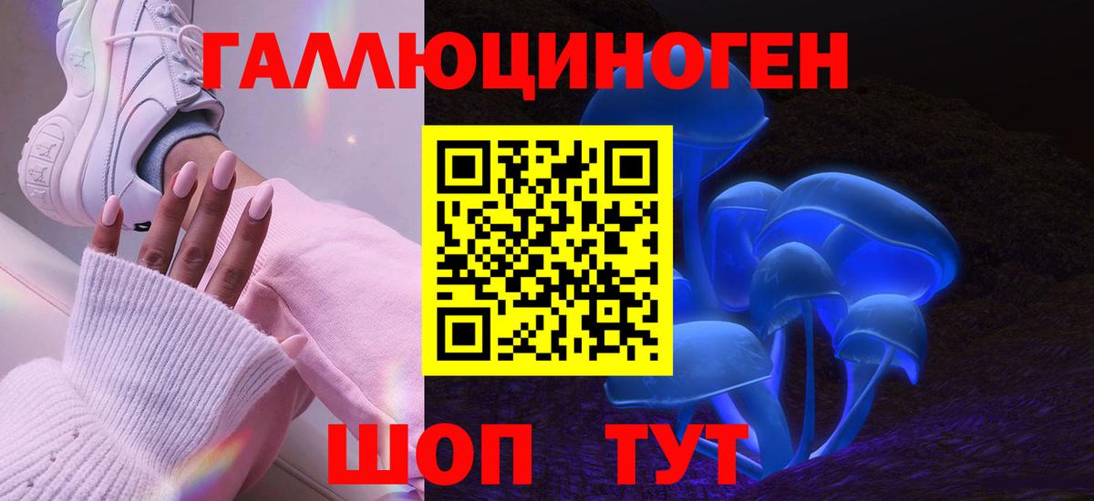 купить закладку  Псилоцибиновые грибы мухоморы  Вход с VPN  Псилоцибиновые грибы GOLDEN TEACHER  Изобильный 