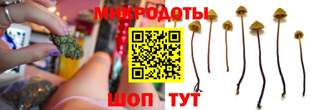 Галлюциногенные грибы Cubensis  Псилоцибиновые грибы MAGIC MUSHROOMS  Изобильный 