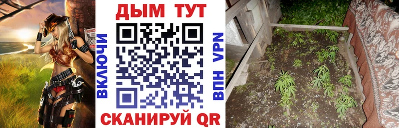 Конопля индика Изобильный